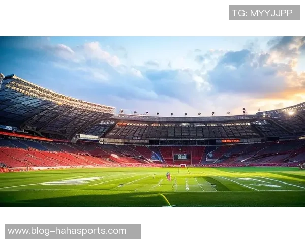 陶踢足球的快乐与成长探索在绿茵场上的激情与友谊之旅